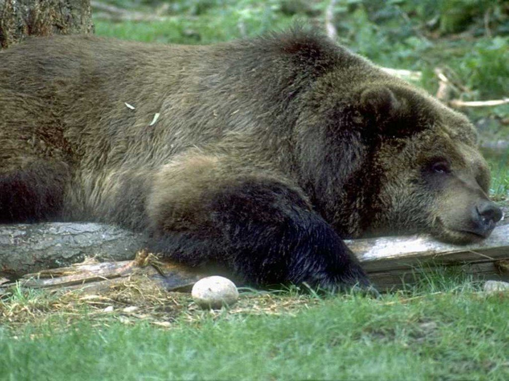 Ours - 038